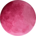 Rose Pink Rhodonite