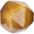 Gold Tiger Free-form