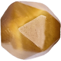 Gold Tiger Free-form