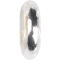 Silver Loop
